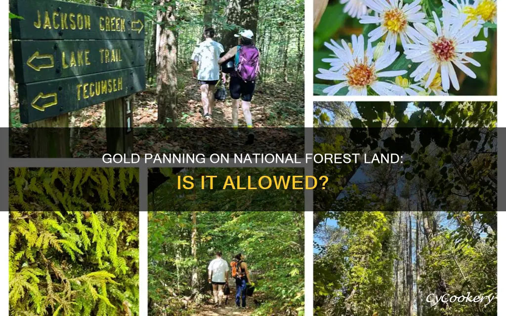 can I gold panning on national forest land