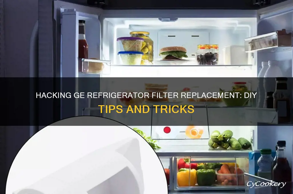 can i hack the ge refrigerator filter replacement