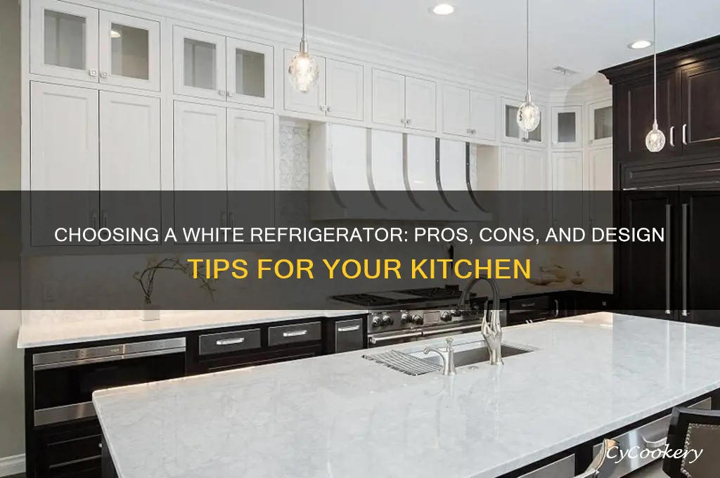 can i have a white refrigerator