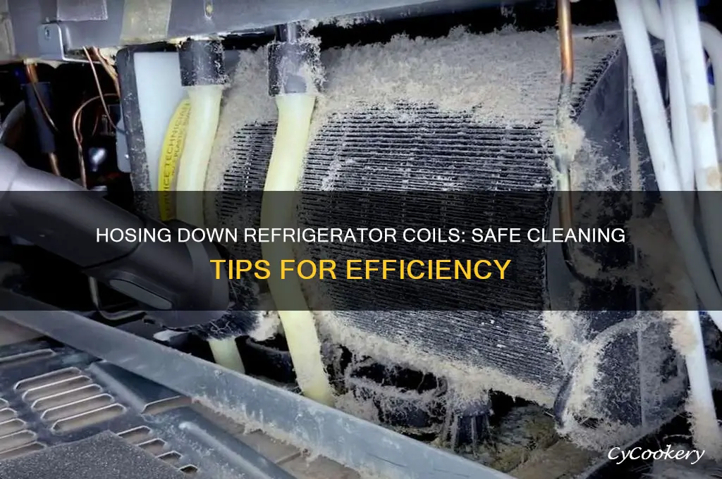can i hose down my refrigerator coils
