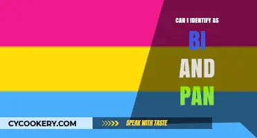 Exploring Bi and Pan Identities: Understanding the Overlap