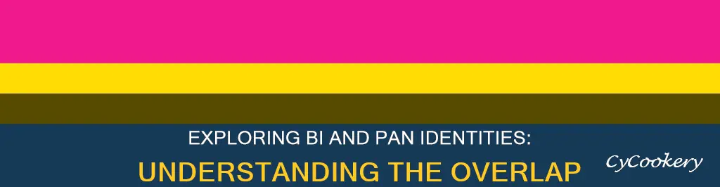 can I identify as bi and pan