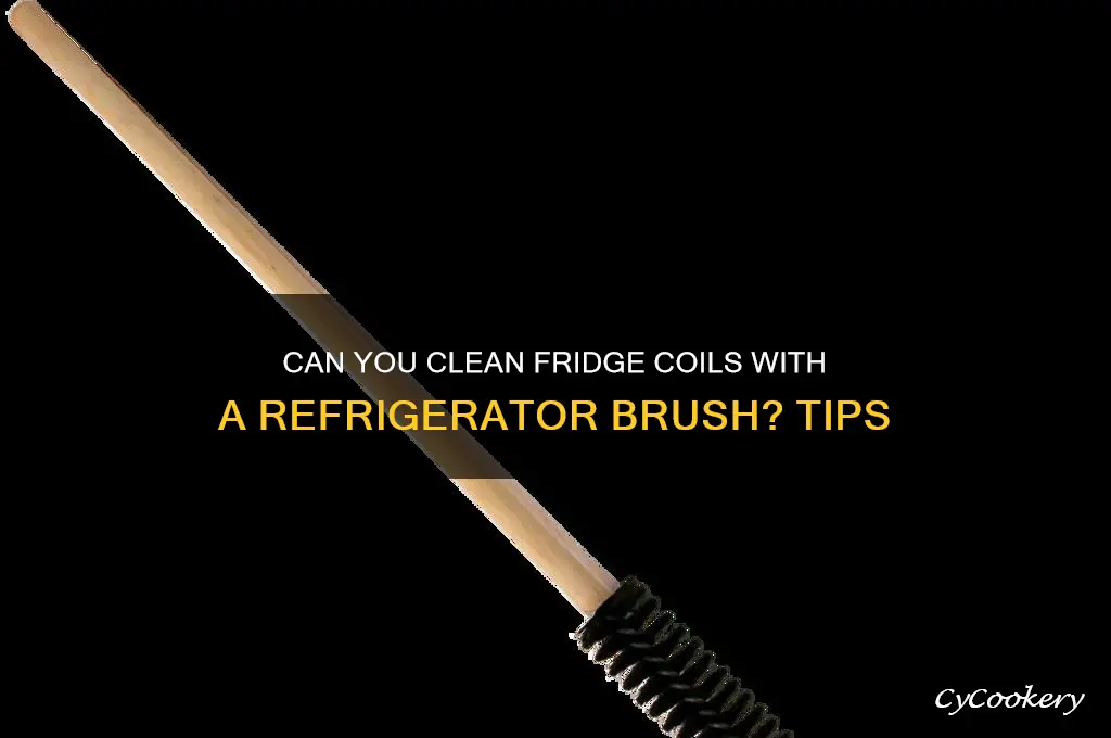 can i just clean the coils with a refrigerator brush
