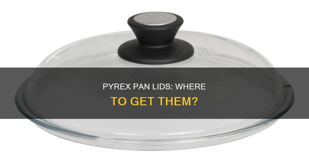 can I just get lids for my pyrex pans