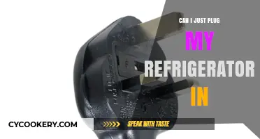 Can I Just Plug My Refrigerator In? A Quick Guide