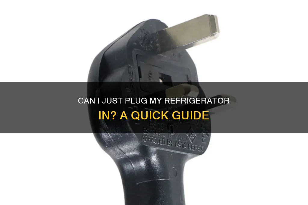 can i just plug my refrigerator in