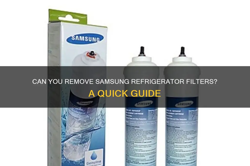 can i just remove samsung refrigerator filters