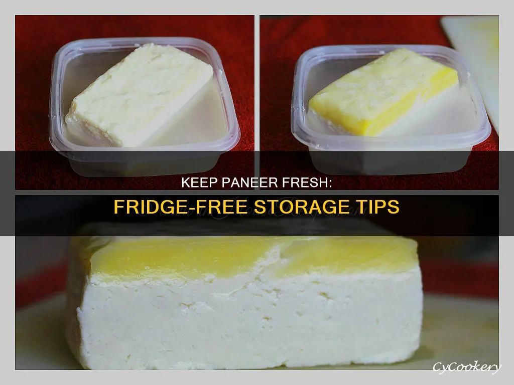 can I keep paneer without fridge