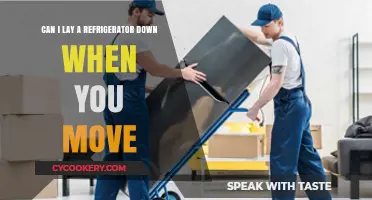 Moving Your Fridge: Safe Practices for Laying It Down