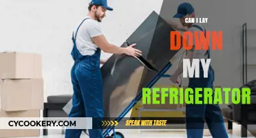 Laying Down Your Refrigerator: What You Need to Know First