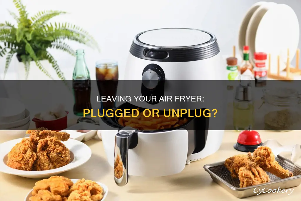 can i leave air fryer plugged in