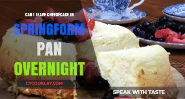 Leaving Cheesecake in Springform Pan Overnight: Good or Bad?