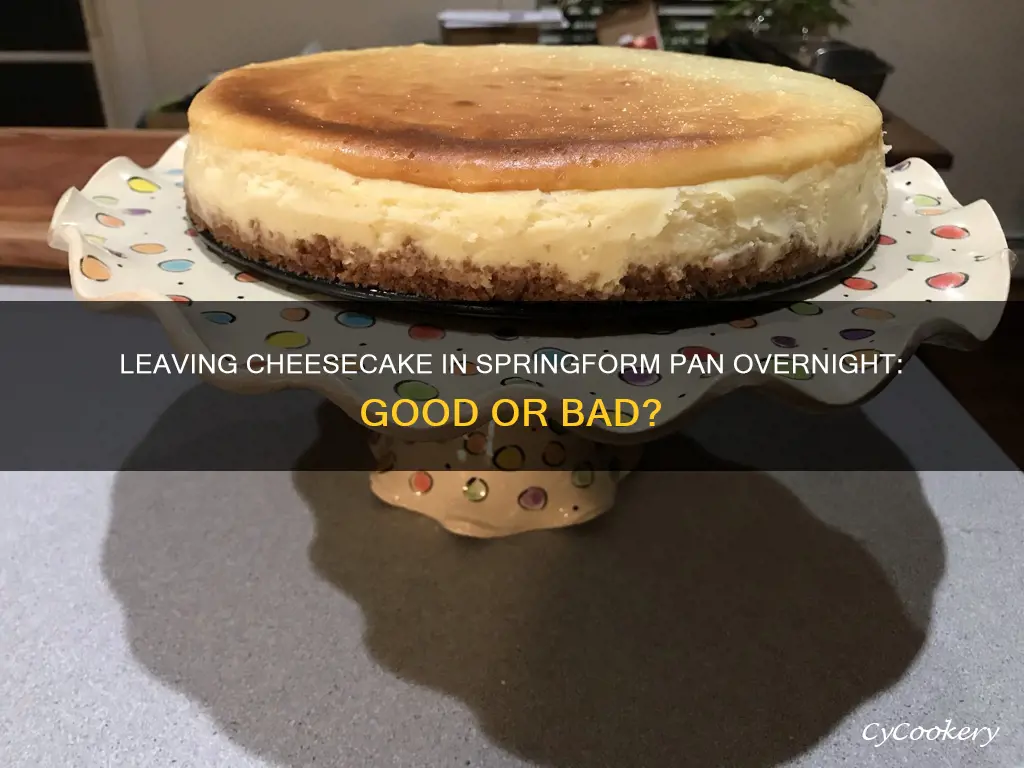 can I leave cheesecake in springform pan overnight