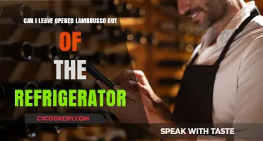 Can Opened Lambrusco Stay Out? Storage Tips for Sparkling Wine