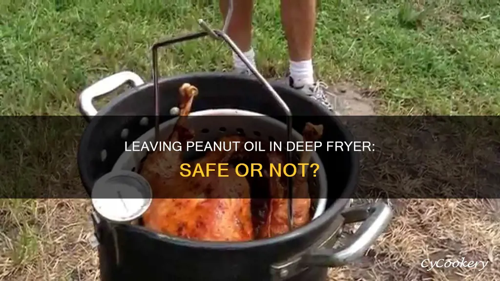 can i leave peanut oil in my deep fryer