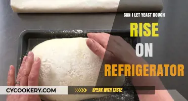 Chilling Yeast Dough: Can You Let It Rise in the Fridge?