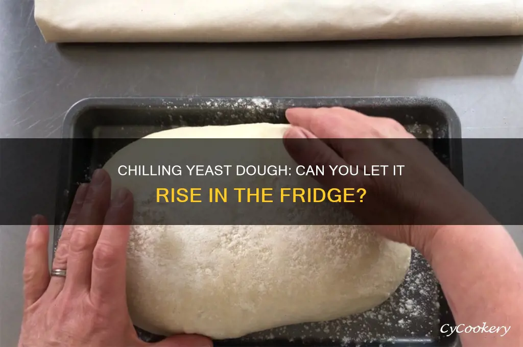 can i let yeast dough rise on refrigerator