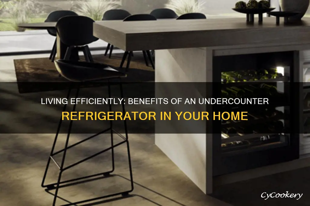 can i live with undercounter refrigerator