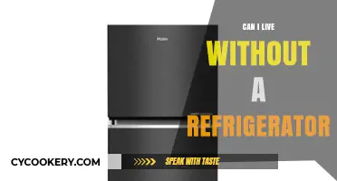 Living Refrigerator-Free: Is a Fridge-Less Life Possible for You?
