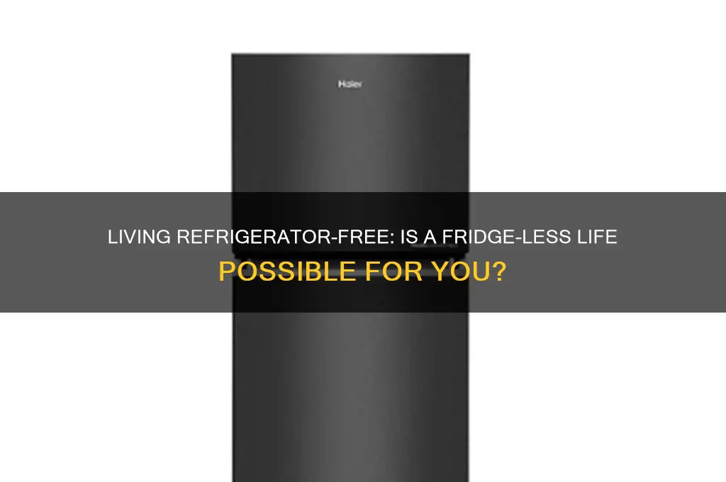 can i live without a refrigerator