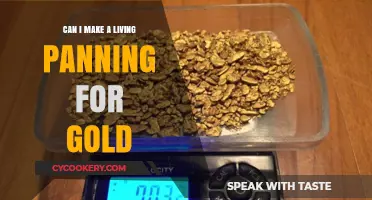 Panning for Gold: A Realistic Living?