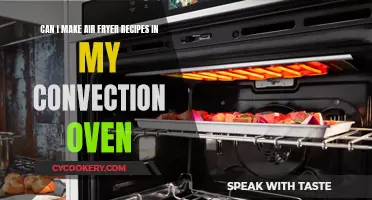 Air Fryer Recipes: Convection Oven Alternatives