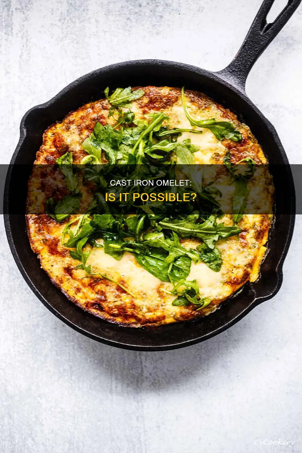 can I make an omelet in a cast iron pan