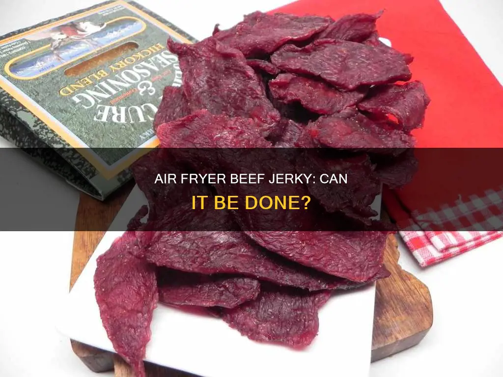 can i make beef jerky in air fryer