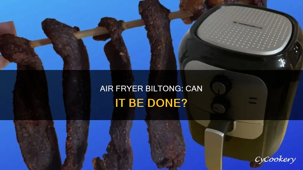 can i make biltong in an air fryer