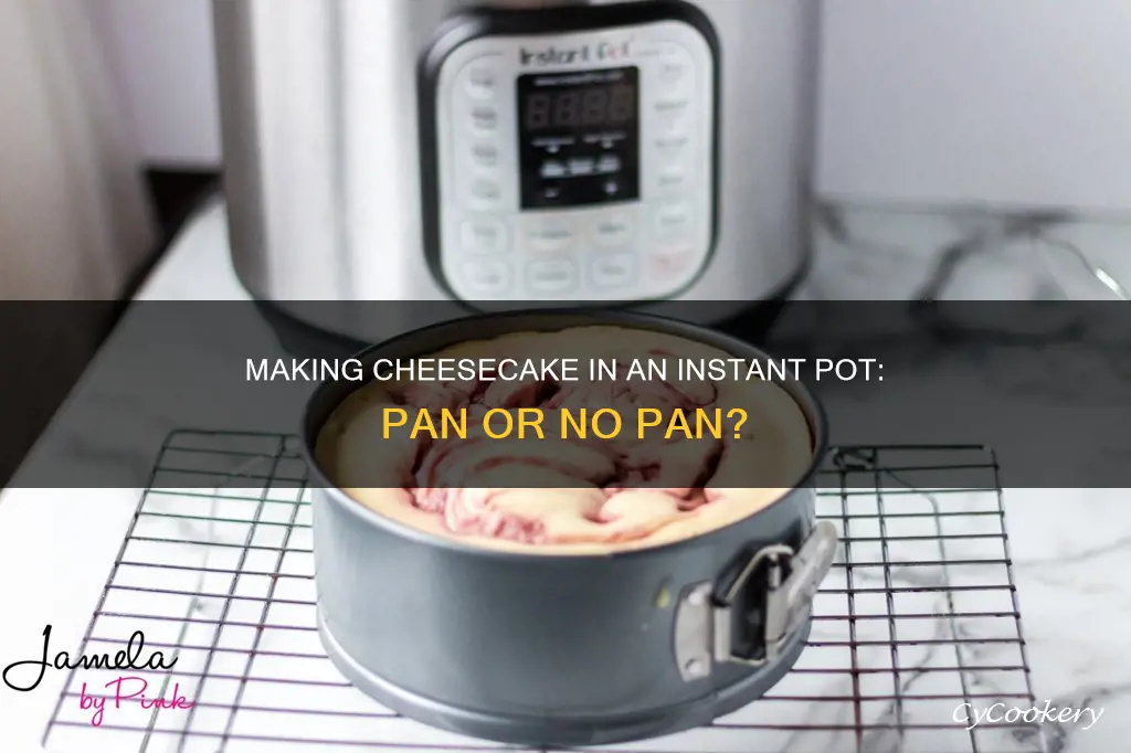 can I make cheesecake in instant pot in regular pan