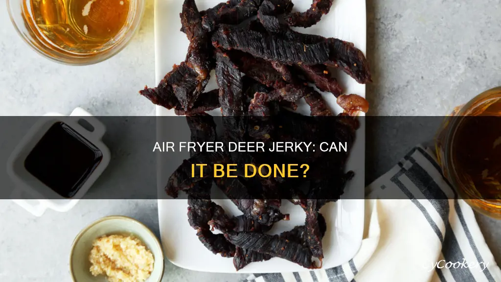 can i make deer jerky in an air fryer