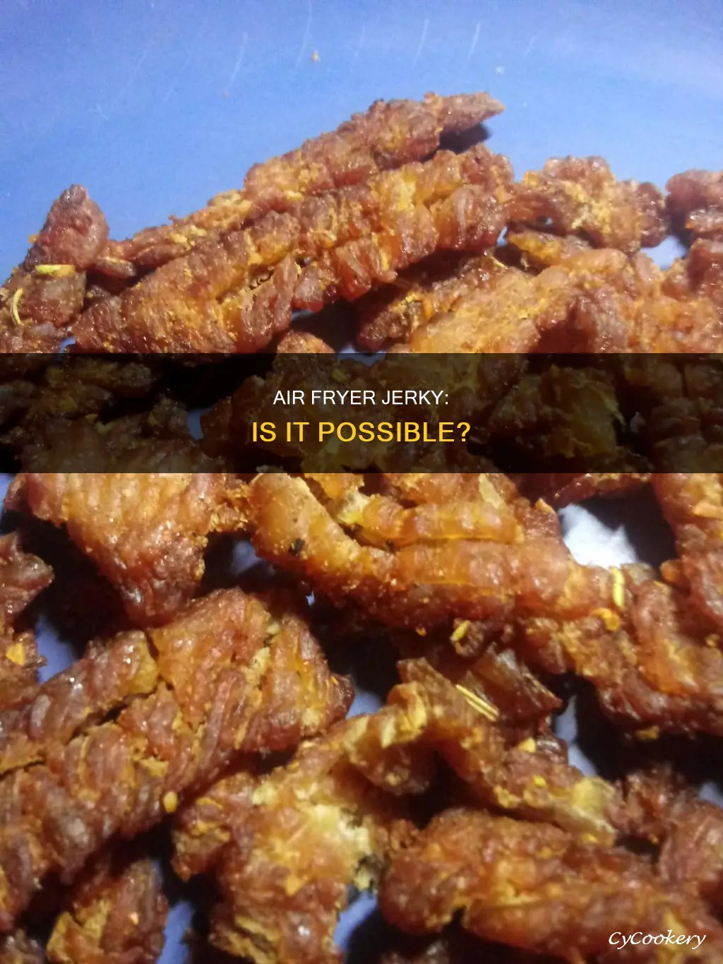 can i make jerky in an air fryer