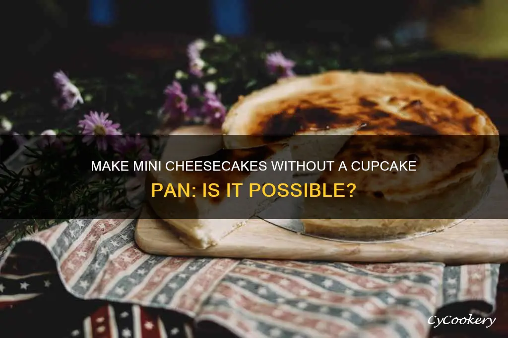 can I make mini cheesecake without cupcake pan