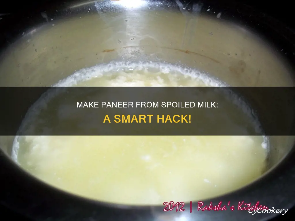 can I make paneer from spoiled milk