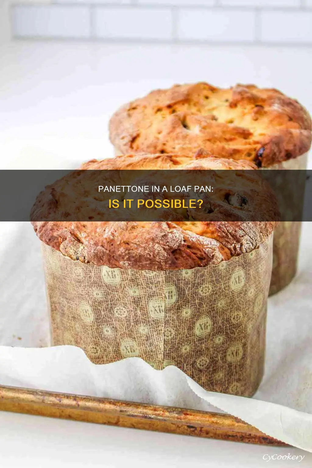 can I make panettone in a loaf pan