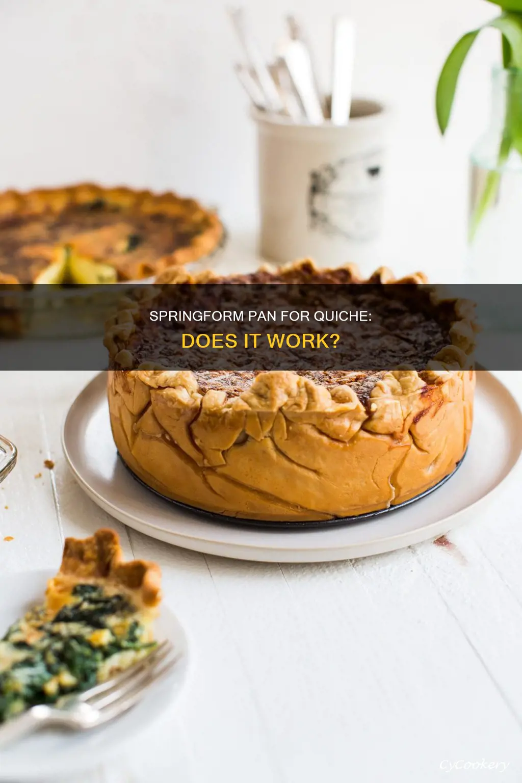 can I make quiche in a springform pan