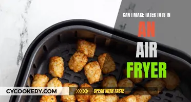 Air Fryer Tater Tots: Can You Make Them?