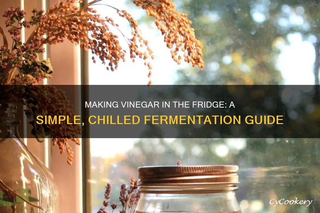 can i make vinegar in a refrigerator