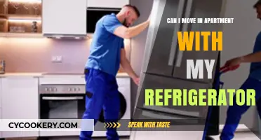 Moving Your Refrigerator to a New Apartment: What You Need to Know