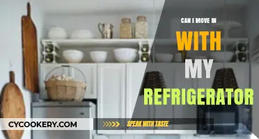 Can I Move In With My Refrigerator? Exploring Unconventional Living Ideas
