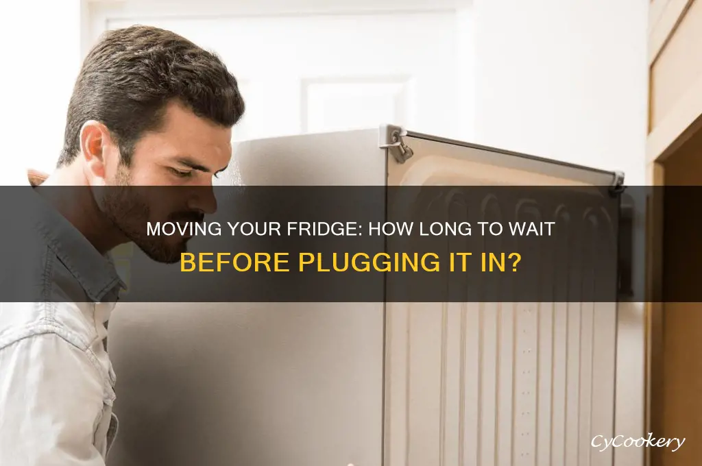 can i move my refrigerator and plug in right away
