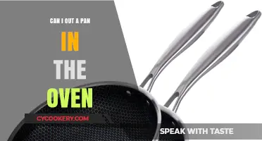Oven-Safe Pans: Can You Put Pans in the Oven?