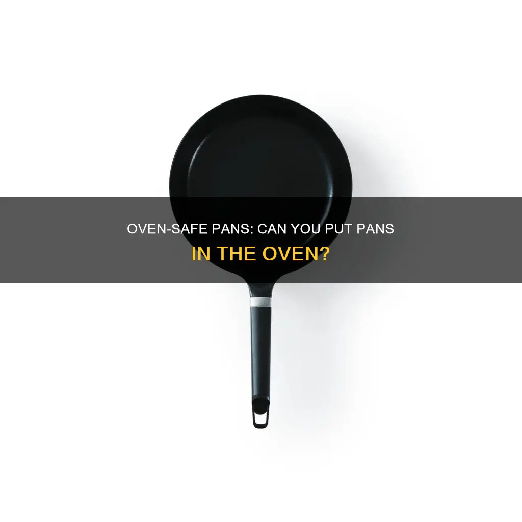 can I out a pan in the oven