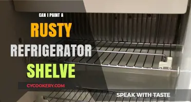 Revive Your Rusty Fridge Shelf: A DIY Painting Guide