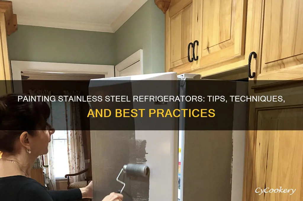 can i paint a stainless steel refrigerator
