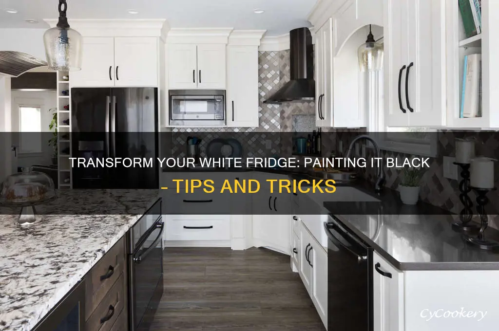 can i paint a white refrigerator black