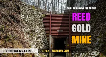 Explore the Reed Gold Mine: Pan for Gold Anywhere