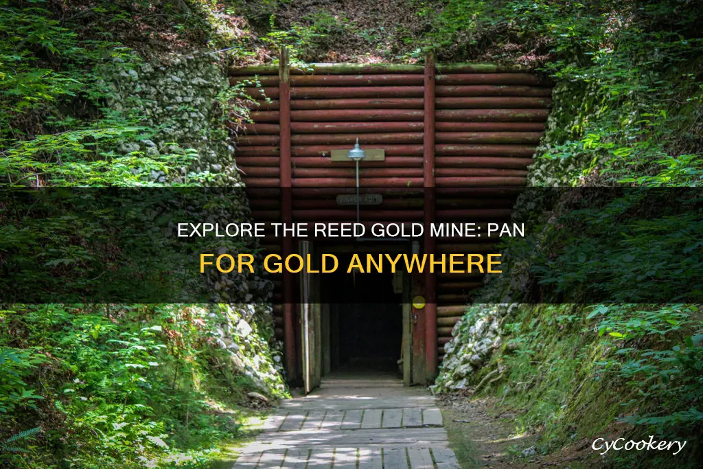 can I pan anywhere on the reed gold mine