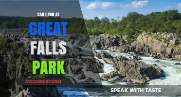 Panning at Great Falls: Is it Allowed?