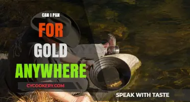 Gold Panning: Where Can You Legally Search?